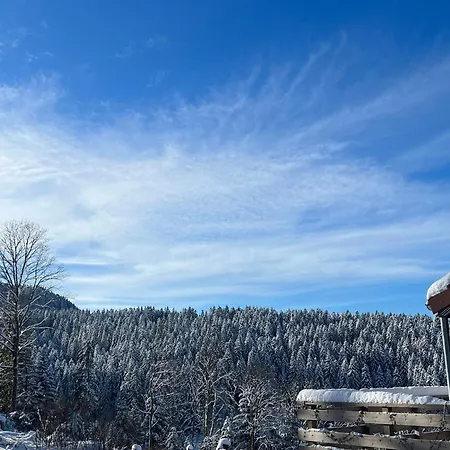 Maison Paisible A Avec Terrasse, Flipper Et Parking Prive - Fr-1-589-598 Holiday home Gerardmer